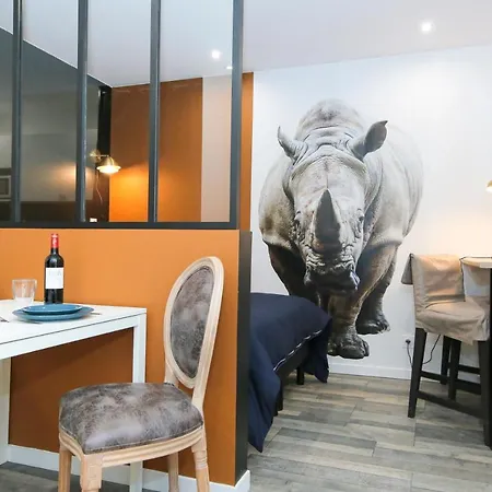 Le Rhinoceros, T1 Hypercentre Chic Et Cosy, Wifi Par Sovalfi Apartment Saint-Etienne  Exterior photo