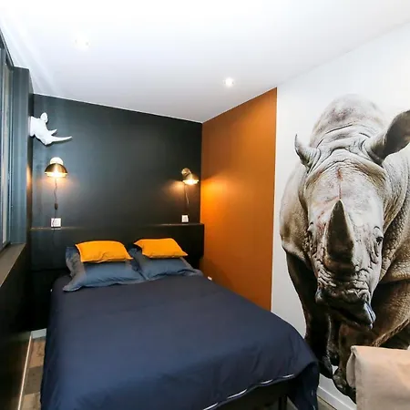 Le Rhinoceros, T1 Hypercentre Chic Et Cosy, Wifi Par Sovalfi Apartment Saint-Etienne  Exterior photo
