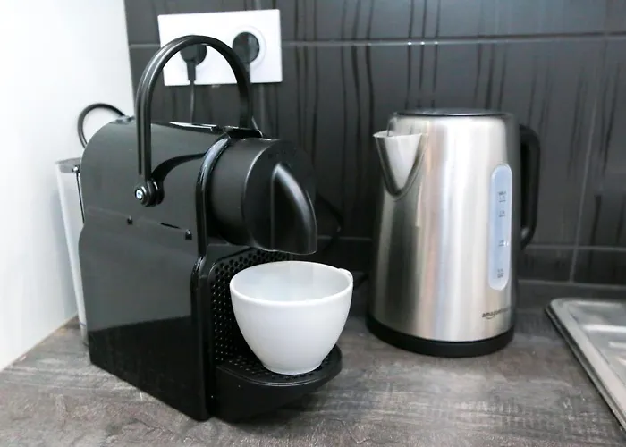 Le Rhinoceros, T1 Hypercentre Chic Et Cosy, Wifi Par Sovalfi