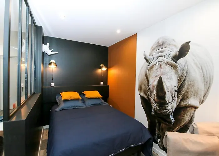 Le Rhinoceros, T1 Hypercentre Chic Et Cosy, Wifi Par Sovalfi